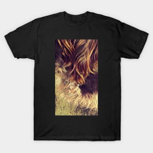 Highlights Spinone T-Shirt